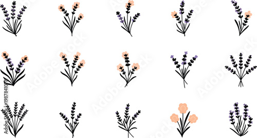 Lavender and peach flowers on white background floral pattern botanical flowers