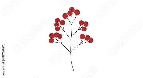 Vector red berry branch, minimalist illustration, plant element, graphic design