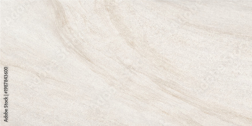 Creamy white wood grain pattern, showcasing the natural beauty and texture of wood. This close-up view highlights the subtle details, creating a visually appealing surface.