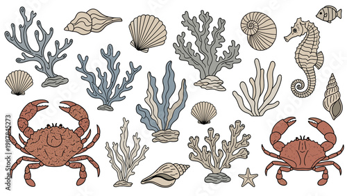 Diverse collection of marine life including corals, seashells, crabs, a seahorse, and a fish is illustrated in a soft color palette.