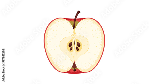 Cross section of a ripe red apple showing the core and seeds is depicted in a clean and realistic vector illustration style.