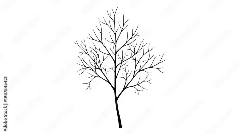 Fototapeta premium Detailed black silhouette of a bare tree with numerous branches and twigs is shown in a clean minimalist style on a white background.