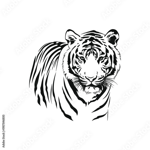 Black and white tiger face illustration hand drawn vector art