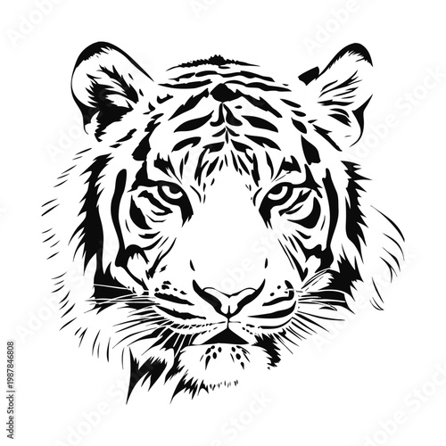 Black and white tiger face illustration hand drawn vector art