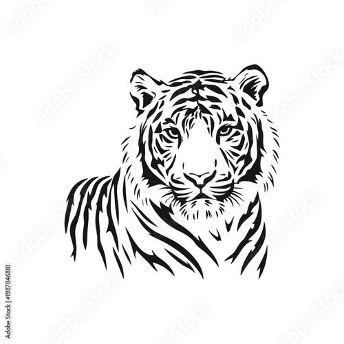 Black and white tiger face illustration hand drawn vector art