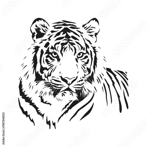 Black and white tiger face illustration hand drawn vector art