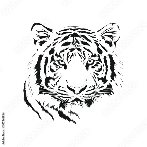Black and white tiger face illustration hand drawn vector art