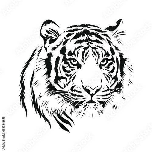 Black and white tiger face illustration hand drawn vector art