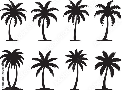 Black palm tree silhouettes set.