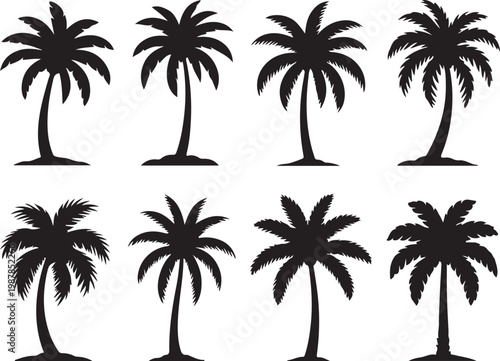 Black palm tree silhouettes set.