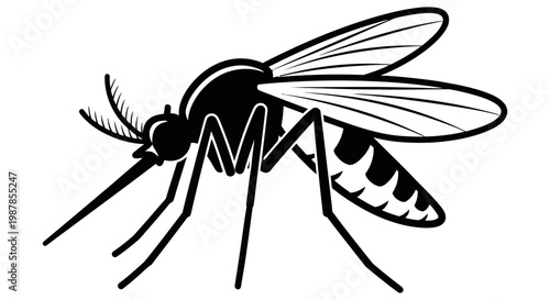 Black and white illustration of a single dangerous flying mosquito