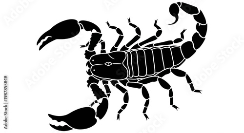 Detailed black silhouette of a dangerous stinging scorpion isolated illustration