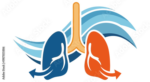 Stylized illustration of human lungs representing respiratory health and breathing function