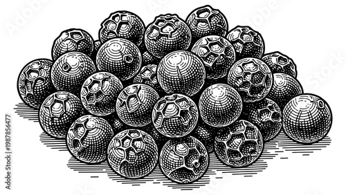 Pile of dried black peppercorns rendered in a classic ink style