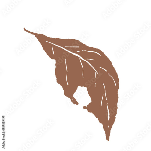 Halloween large withered leaf illustration single torn brown leaf