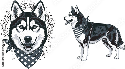 Independence Day Siberian husky dog portrait illustration with music notes and patriotic American flag bandana for Independence Day celebration vector USA