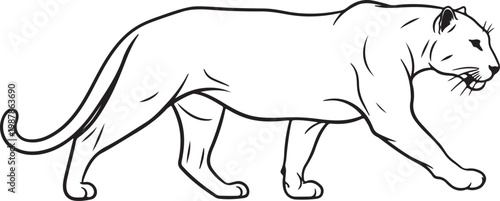 Photos Panther vector silhouettes
