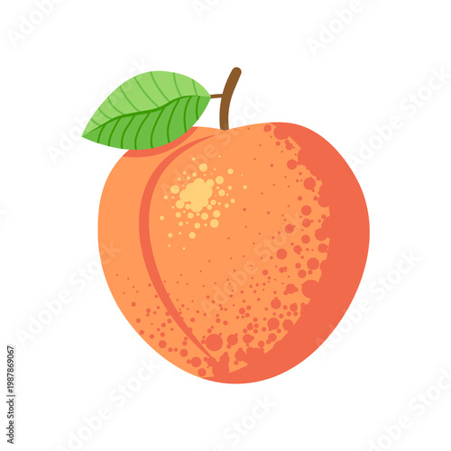 Peach fresh fruit in flat style isolated on transparent background. Vector illustration for food design, packaging, menu, grocery, organic products and branding