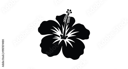 A striking black silhouette of a hibiscus flower against a white background