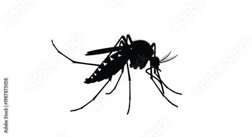 Detailed mosquito illustration in stark black against a white background silhouette