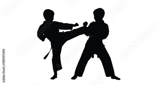 Two young boys practicing martial arts in dynamic action silhouette