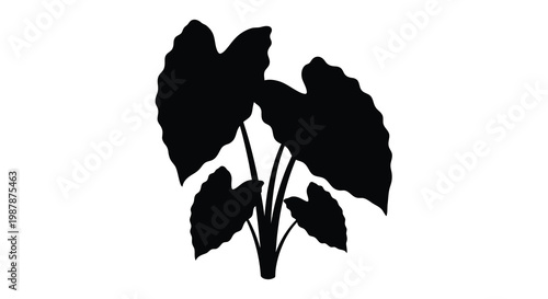 Black foliage design featuring large shaped leaves a striking silhouette