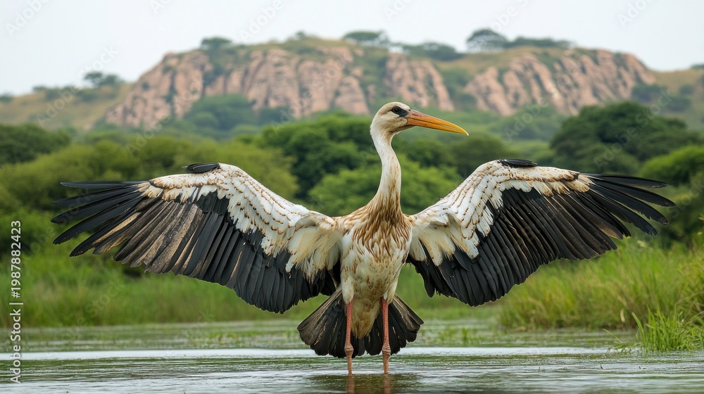Naklejka premium Bird with outstretched wings over water