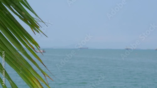 Palm leaf with blue sea and rock background, wave water summer at coast, natural summer for tourism travel in holidays.