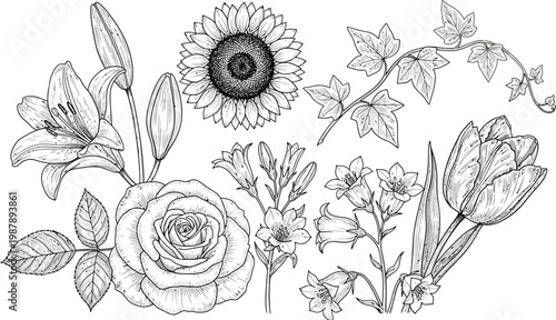 Black and White Floral Bouquet with Sunflower, Rose, Tulip and and Leaves Isolated on White Background