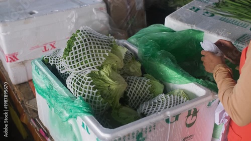 Woman hands packing fresh lettuce leaves into plastic bag at vegetable stall in indoor market. Fresh produce concept