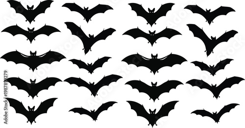 Flying bats group isolated on white background. Black night bat silhouettes