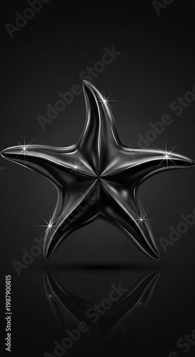 漆黒の輝き、星の鋭い閃光