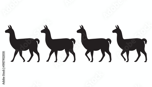 black and white silhouette set of llama very high quality vector illustration.