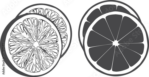 Black and white citrus slices, detailed and solid