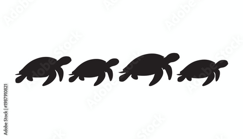 black and white silhouette set of turtle very high quality vector illustration.