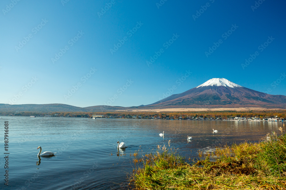 Fototapeta premium Yamanakako Lake and Mount Fuji, Japan