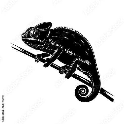 A black chameleon sitting on a branch Vector, illustration