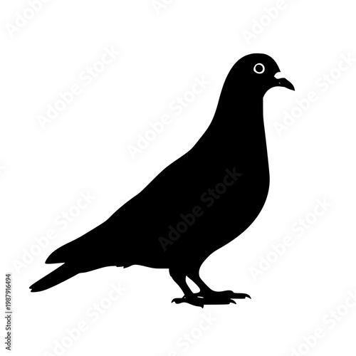 A black silhouette of a pigeon standing on a surface Vector, illustration