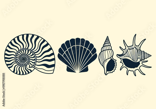 Vintage Minimalist Seashell Illustration Set - Nautical Shell Collection with Nautilus, Scallop, and Conch Shapes on Cream Background