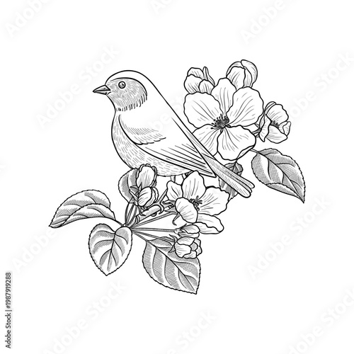 vector vintage drawing fruit flowers and bird , apple tree bloom with leaves isolated at white background, hand drawn illustration