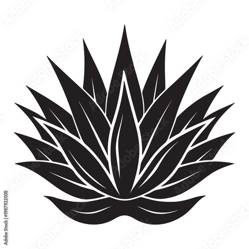 Black agave plant silhouette icon with sharp pointed leaves for design and decoration purposes  agave plant