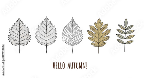 Set of five detailed autumn leaf illustrations in a horizontal row with the greeting hello autumn on a plain white background.