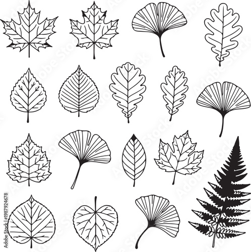 Leaf Silhouette Collection Nature Outline Set.01