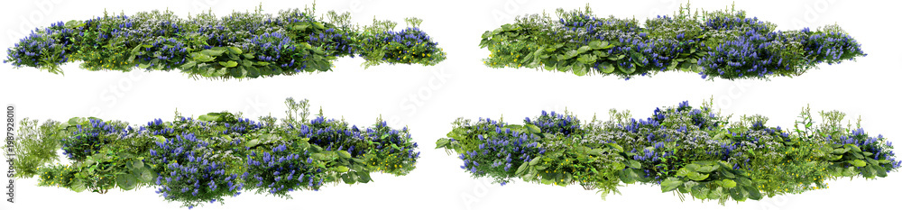 Naklejka premium Shrubs and flower on a transparent background 