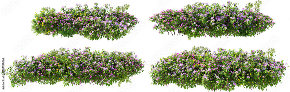 Naklejka premium Shrubs and flower on a transparent background 