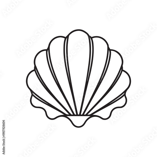 Black line drawing of a scallop shell on white background  simple illustration of a type of marine bivalve mollusk shell