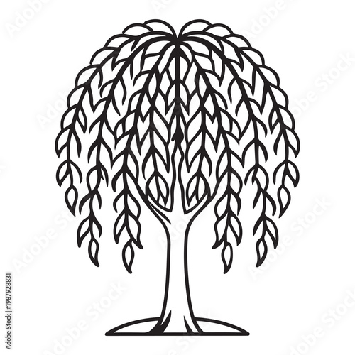 Black line drawing of a tree with drooping branches and leaves  simple minimalist illustration of a weeping tree  isolated on white background