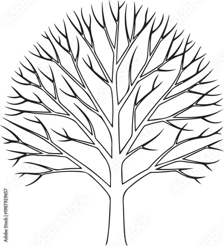 Bare Tree Line Art Minimalist Nature Illustration.