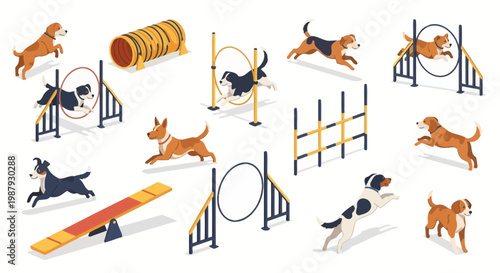 Dog Agility Training: Joyful Pups Mastering Obstacles, Fun and Sport Activity