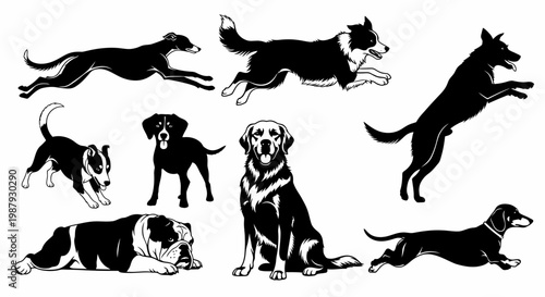 Dog Breeds Silhouettes: A Collection of Canine Figures Black and White Style